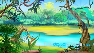 Small River In The Rainforest Stock Image