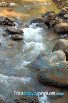 Small Water Flow In Forest Stock Photo