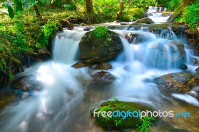 Small Waterfall With Fern And Rocks Located In Doi Inthanon Stock Photo