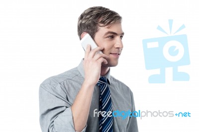 Smart Businessman Talking In His Mobile Phone Stock Photo