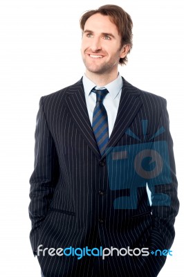 Smartly Dressed Male Business Executive Stock Photo