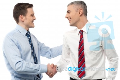 Smiling Businessmen Shaking Hands Stock Photo