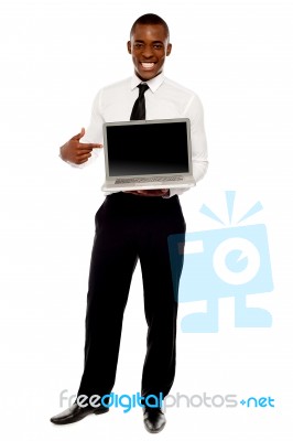 Smiling Executive Pointing Laptop Stock Photo