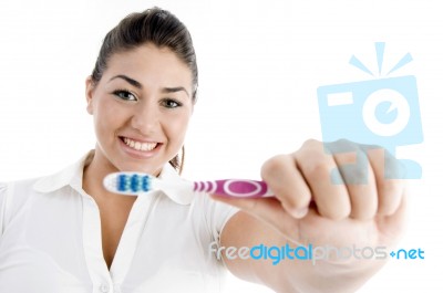 Smiling Female Showing Toothbrush Stock Photo