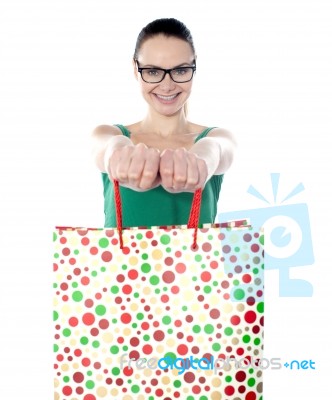 Smiling Lady Carrying Shopping Bags Stock Photo