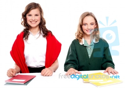 Smiling Teenage Girls Learning Book Stock Photo