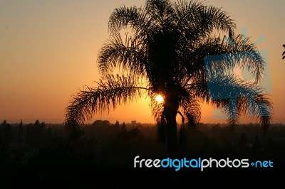 Smokey Hollywood Sunset Stock Photo