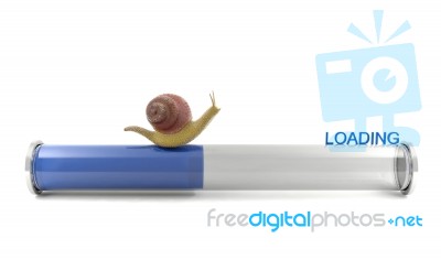 Snail Crawling On Download Bar Stock Image