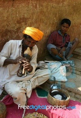 Snake Charmer Stock Photo