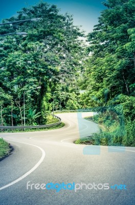 Snake Curved Road Stock Photo