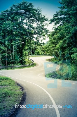 Snake Curved Road Stock Photo