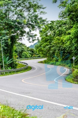 Snake Curved Road Stock Photo