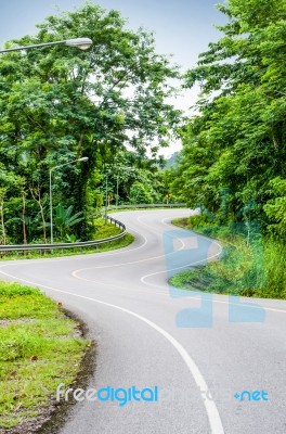 Snake Curved Road Stock Photo