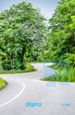 Snake Curved Road Stock Photo