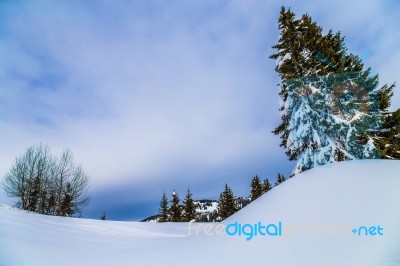 Snow And Trees, With A Cloudy Blue Sky Stock Photo