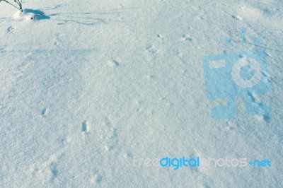 Snow Background Texture Stock Photo