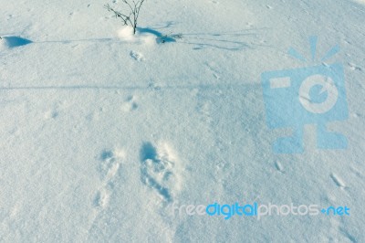 Snow Background Texture Stock Photo