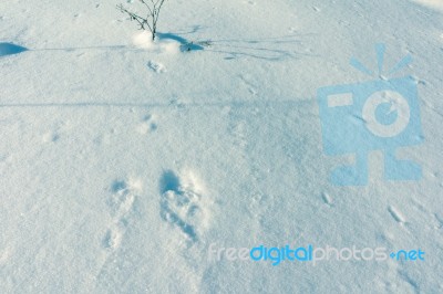 Snow Background Texture Stock Photo