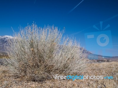 Snow Capped Mountains, Blue Sky, Desert Landscape Stock Photo