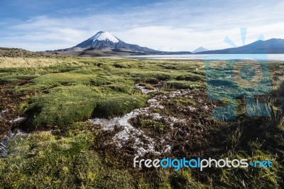 Snow Capped Parinacota Volcano Reflected In Lake Chungara, Chile… Stock Photo