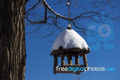 Snow Covered Birdhouse Stock Photo