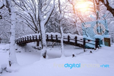 Snow Falling In Park And A Walking Bridge In Winter, Winter Landscape Stock Photo