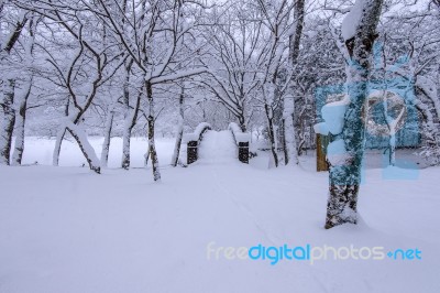 Snow Falling In Park And A Walking Bridge In Winter, Winter Landscape Stock Photo