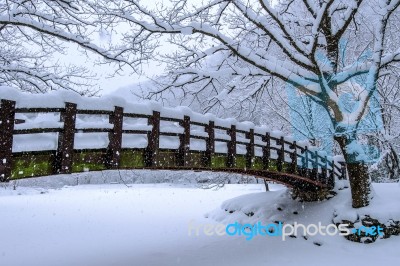 Snow Falling In Park And A Walking Bridge In Winter, Winter Landscape Stock Photo