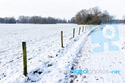 Snow Landscape With Path Between Meadows Stock Photo