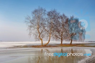 Snow Melting On The Fields. Warm Winter Stock Photo