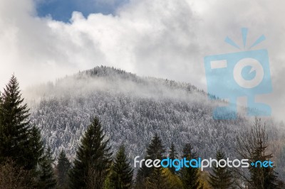 Snowcaped Treeline In A Haze Of Cloud Stock Photo