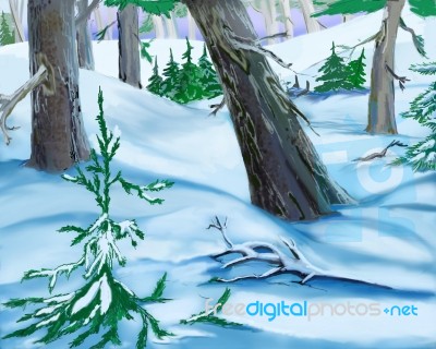 Snowdrifts  In A Winter Forest Stock Image