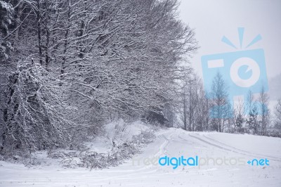 Snowfall And Sleet On Winter Road. Ice Snowy Road. Winter Snowst… Stock Photo