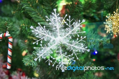 Snowflake Decorated On Christmas Tree Stock Photo