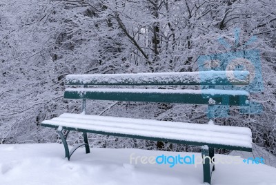 Snowy Bench Stock Photo