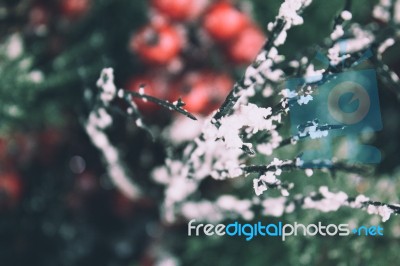 Snowy Christmas Background Stock Photo