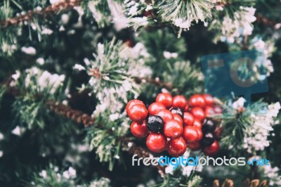 Snowy Christmas Background Stock Photo