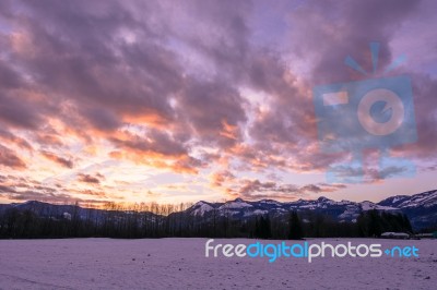 Snowy Mornings Stock Photo