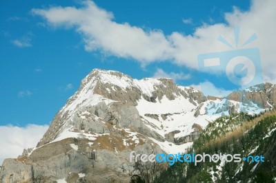 snowy Mountain with trees Stock Photo