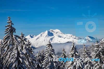 Snowy White Mountains Range With Trees And Blue Sky Stock Photo