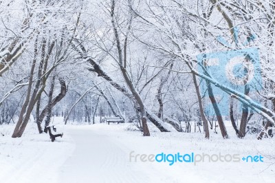 Snowy Winter Day Stock Photo