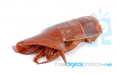 Soak Squid Isolated On The White Background Stock Photo