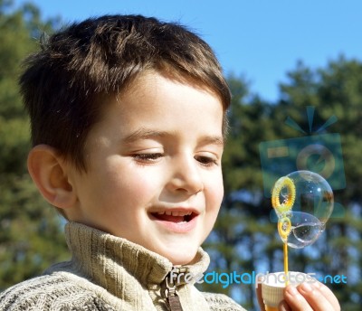 Soap Bubbles Stock Photo