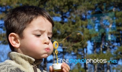 Soap Bubbles Stock Photo