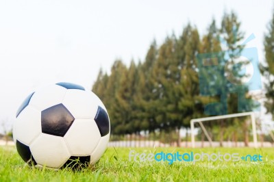 Soccer Ball Stock Photo