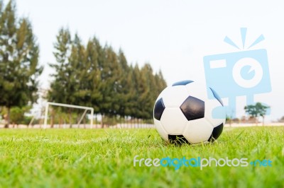 Soccer Ball Stock Photo