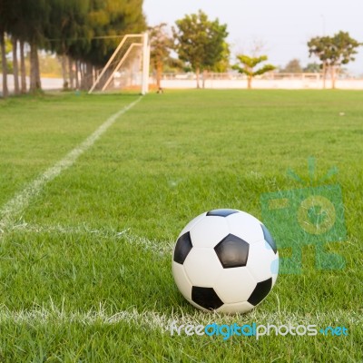 Soccer Ball Stock Photo