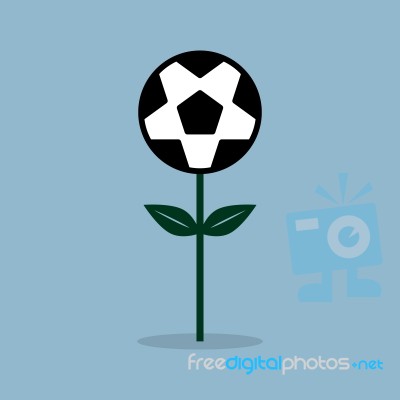 Soccer Ball Flower Plant Stock Image