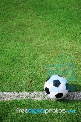 Soccer Ball In Field Stock Photo