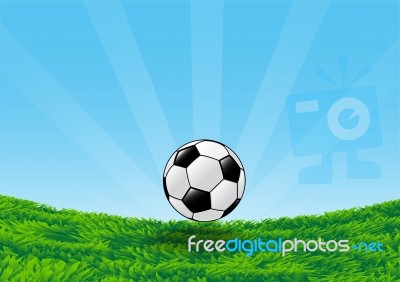 Soccer Ball On Grass Field With Blue Sky- Illustration Stock Image